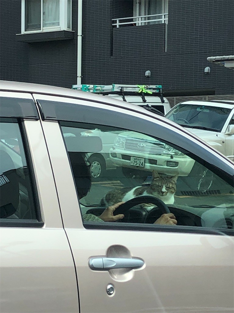 f:id:RyoKAWAGOE:20190325215346j:image f:id:RyoKAWAGOE:20190325215346j:image