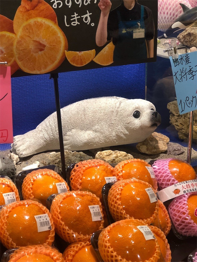 f:id:RyoKAWAGOE:20190408210055j:image f:id:RyoKAWAGOE:20190408210055j:image