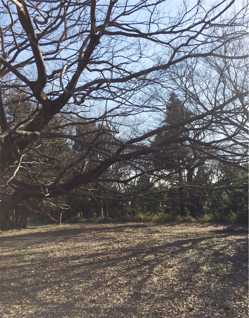 f:id:RyoKotoVuki:20170327124642j:image f:id:RyoKotoVuki:20170327124642j:image