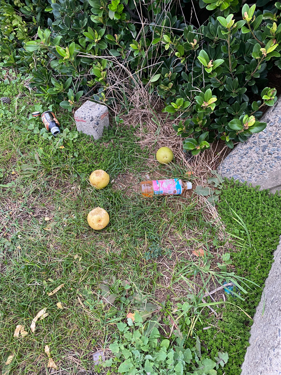 f:id:Ryo_0221:20211002202037j:plain