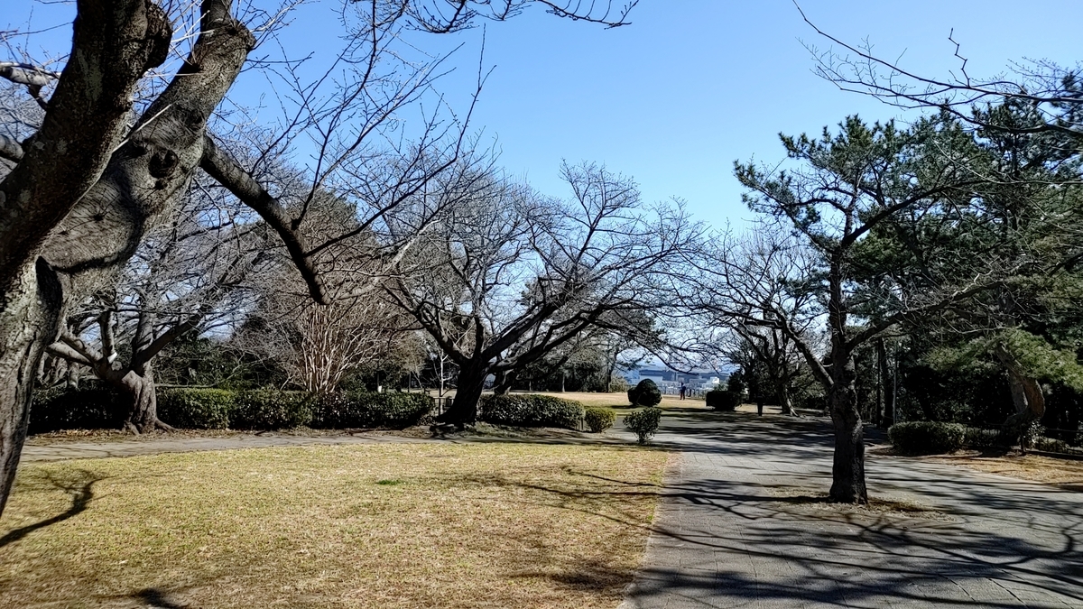 f:id:Ryoch1n:20210328220726j:plain