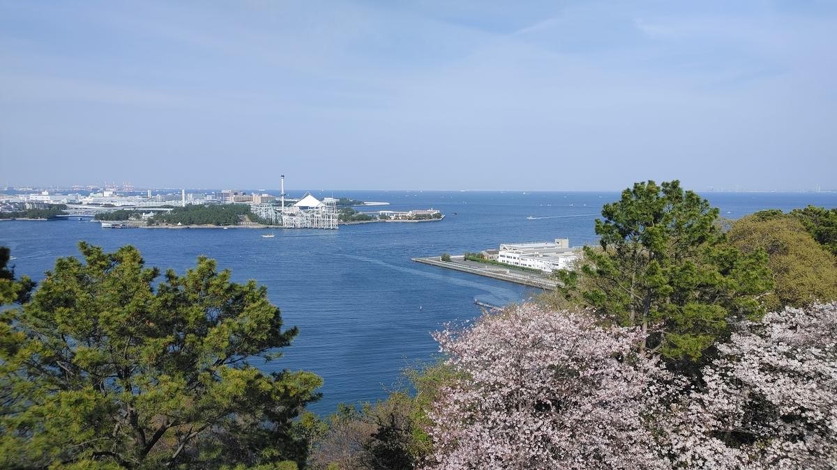 f:id:Ryoch1n:20210328221143j:plain