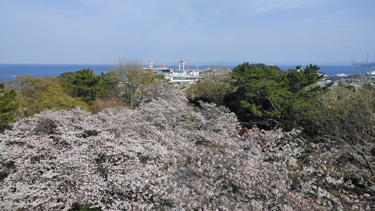 f:id:Ryoch1n:20210328221223j:plain