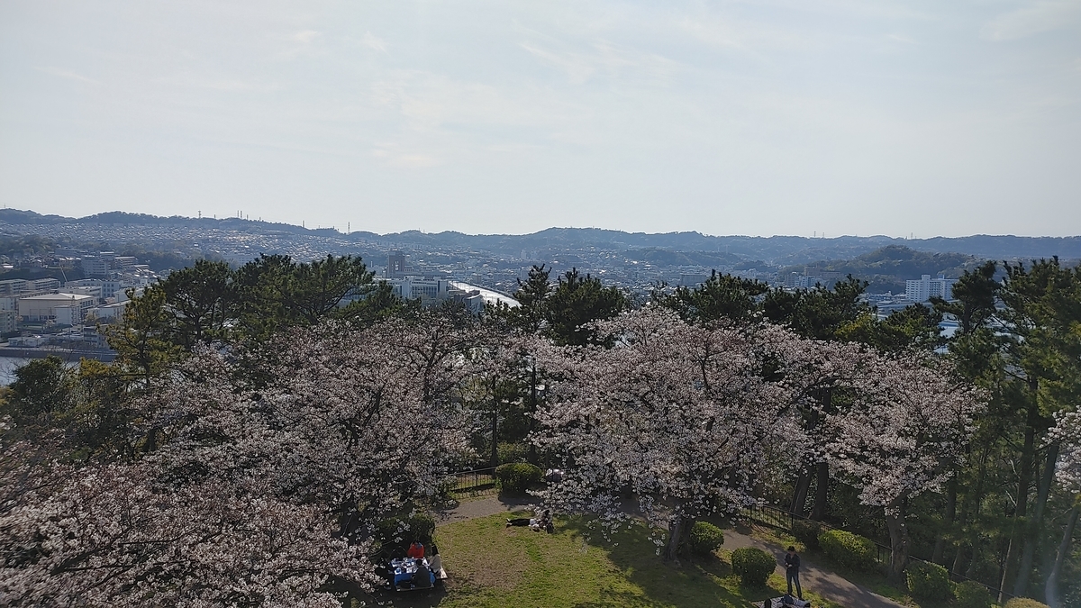 f:id:Ryoch1n:20210328221617j:plain
