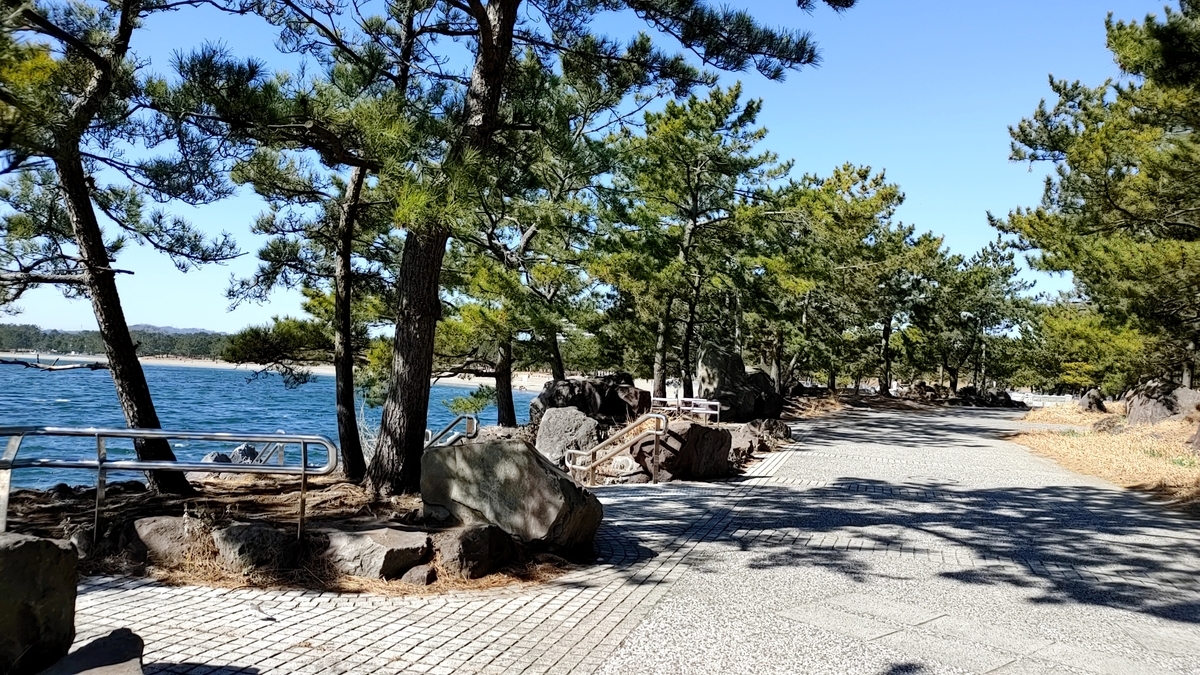f:id:Ryoch1n:20210328223841j:plain