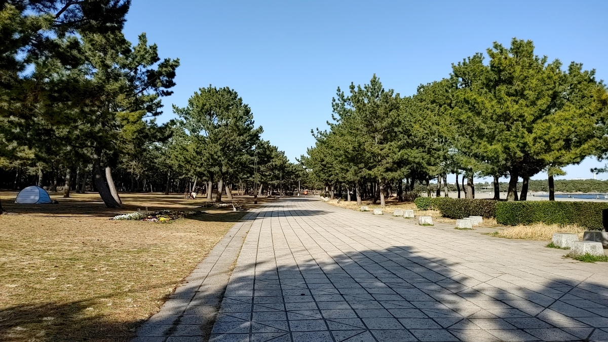 f:id:Ryoch1n:20210328223928j:plain
