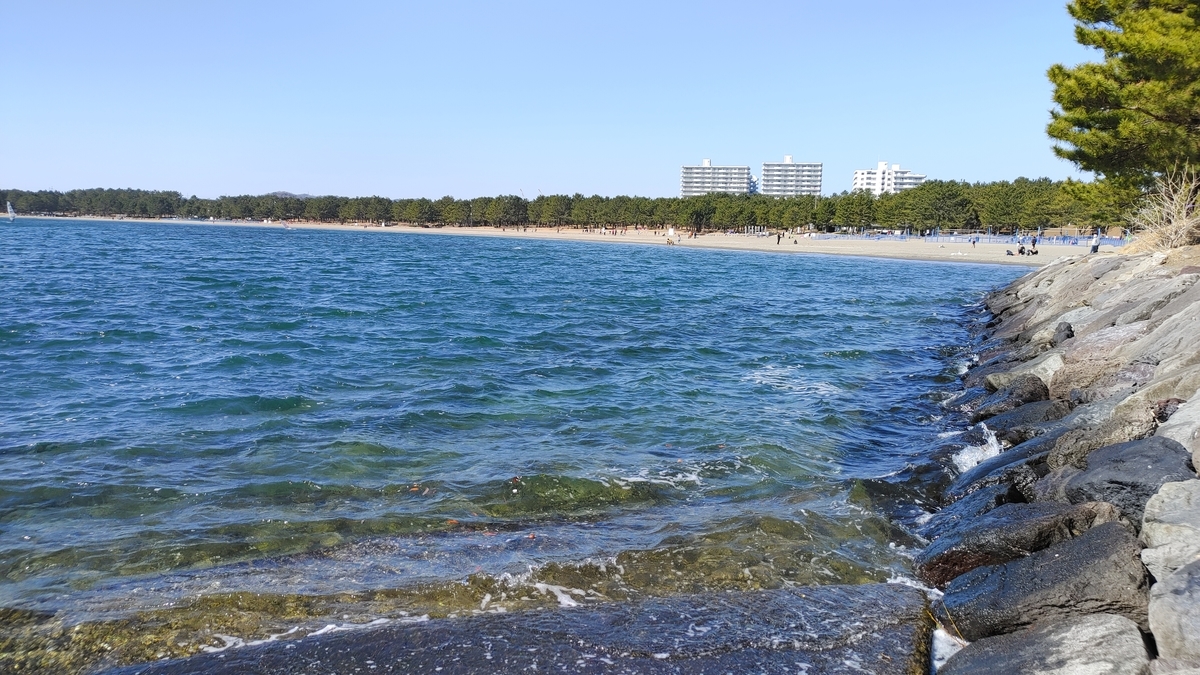 f:id:Ryoch1n:20210328224221j:plain