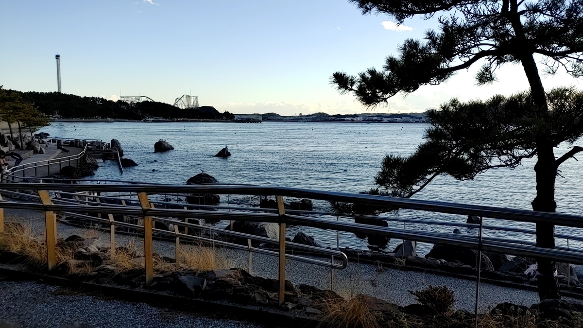 f:id:Ryoch1n:20210328224329j:plain