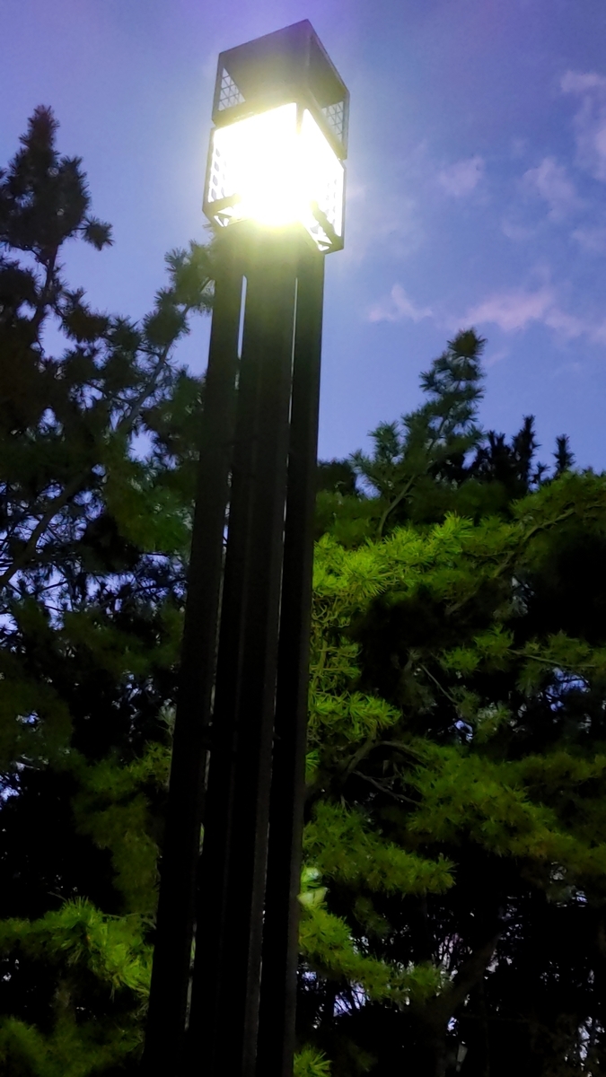 f:id:Ryoch1n:20210328225303j:plain