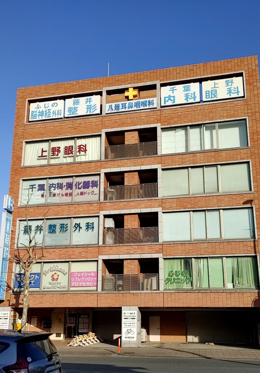 f:id:Ryoch1n:20210328231153j:plain