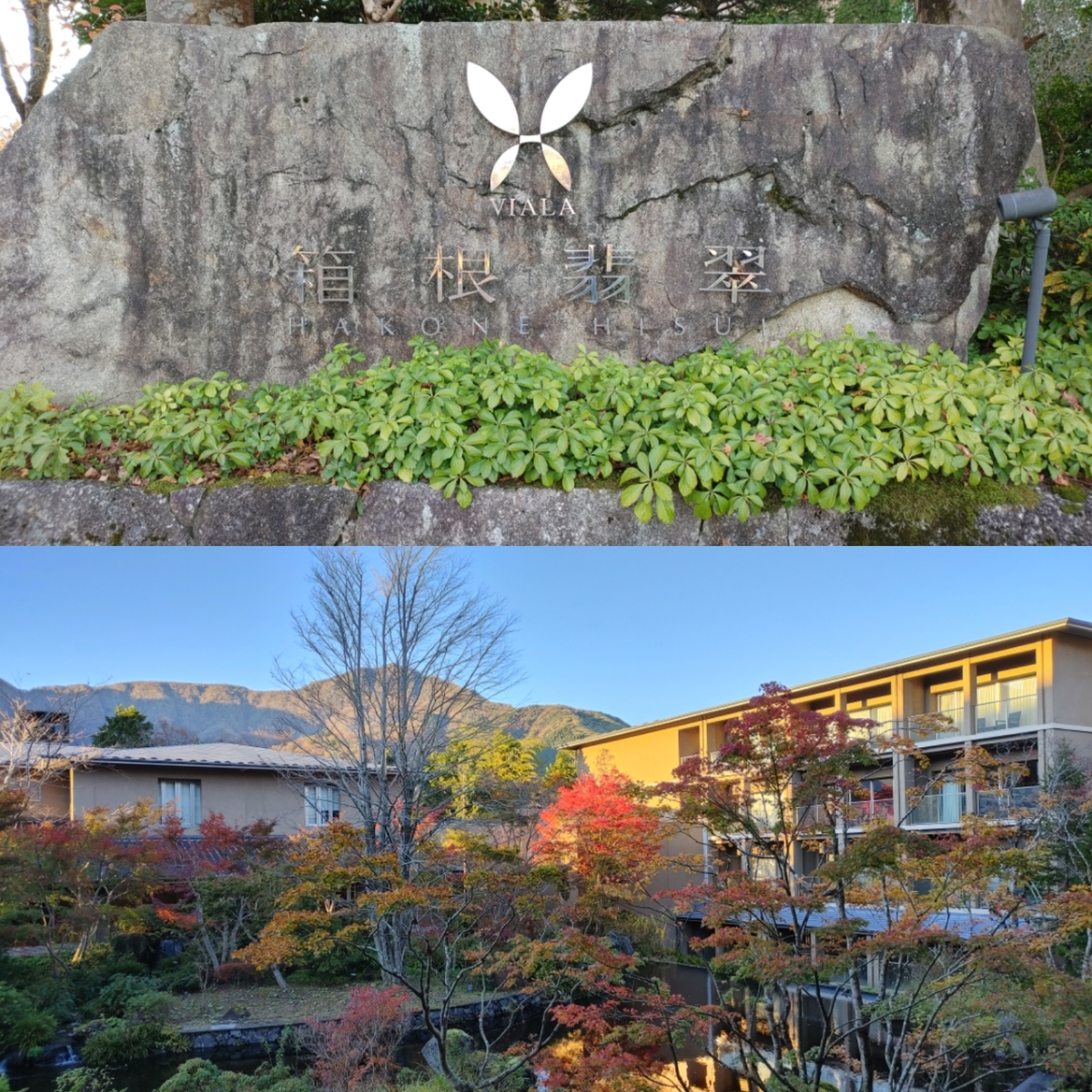 f:id:Ryoch1n:20211231221324j:plain