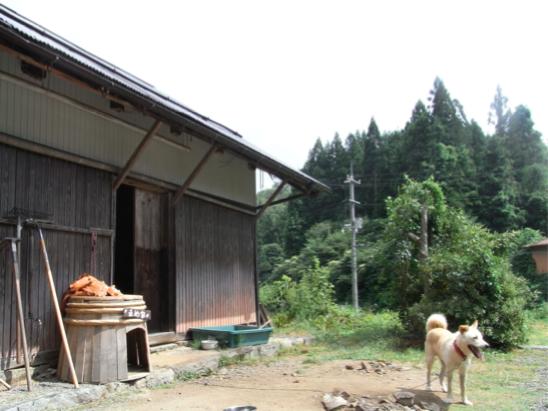 f:id:Ryoji_R2:20120901003516j:image:left