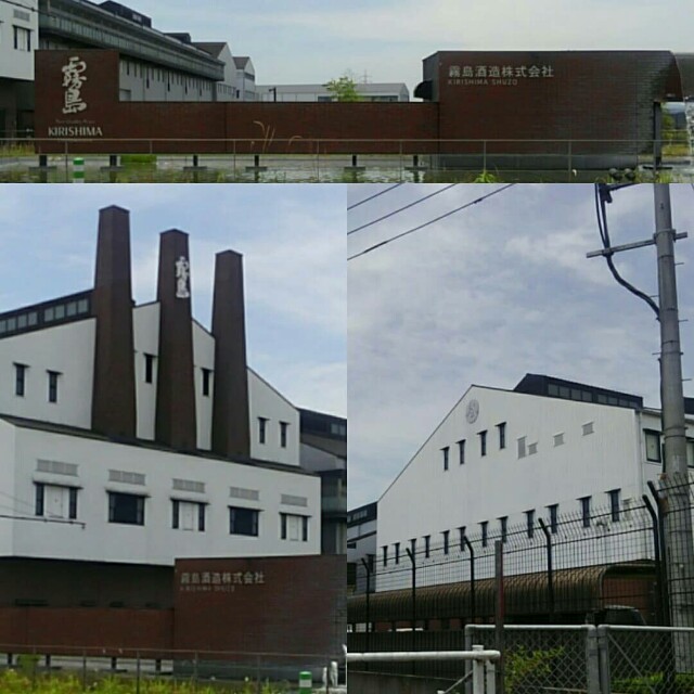 f:id:Ryoji_heart_of_diary:20190614001818j:image