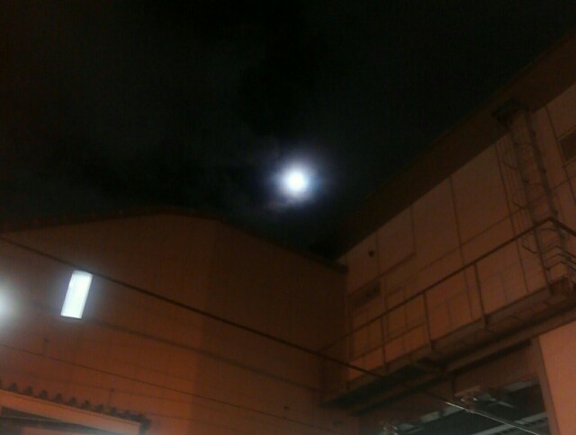 f:id:Ryoji_heart_of_diary:20190914182832j:image