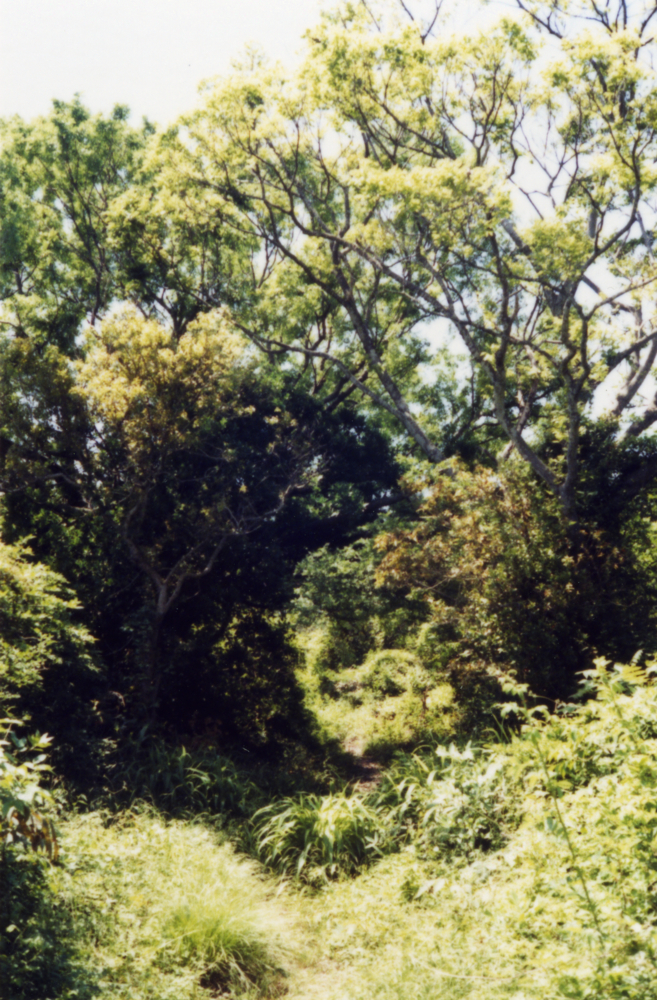 f:id:Ryoskywalker:20160621160221j:image