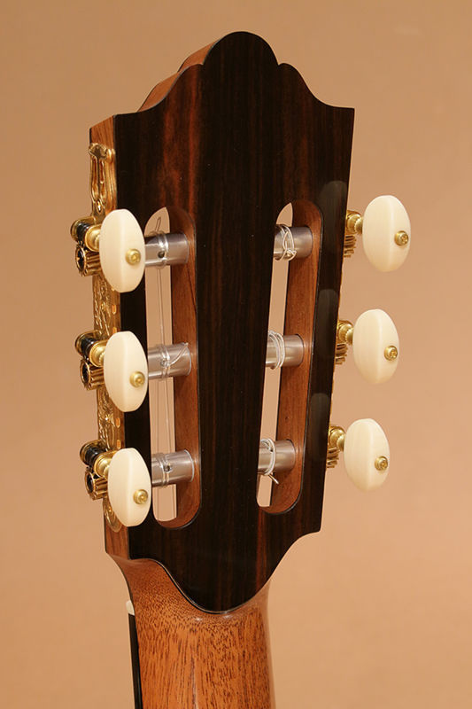 f:id:RyosukeKobayashiGuitars:20180529174557j:plain