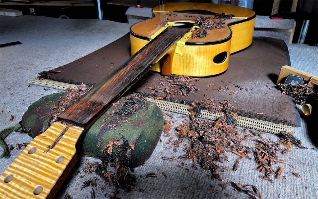 f:id:RyosukeKobayashiGuitars:20190220123345j:image f:id:RyosukeKobayashiGuitars:20190220123345j:image