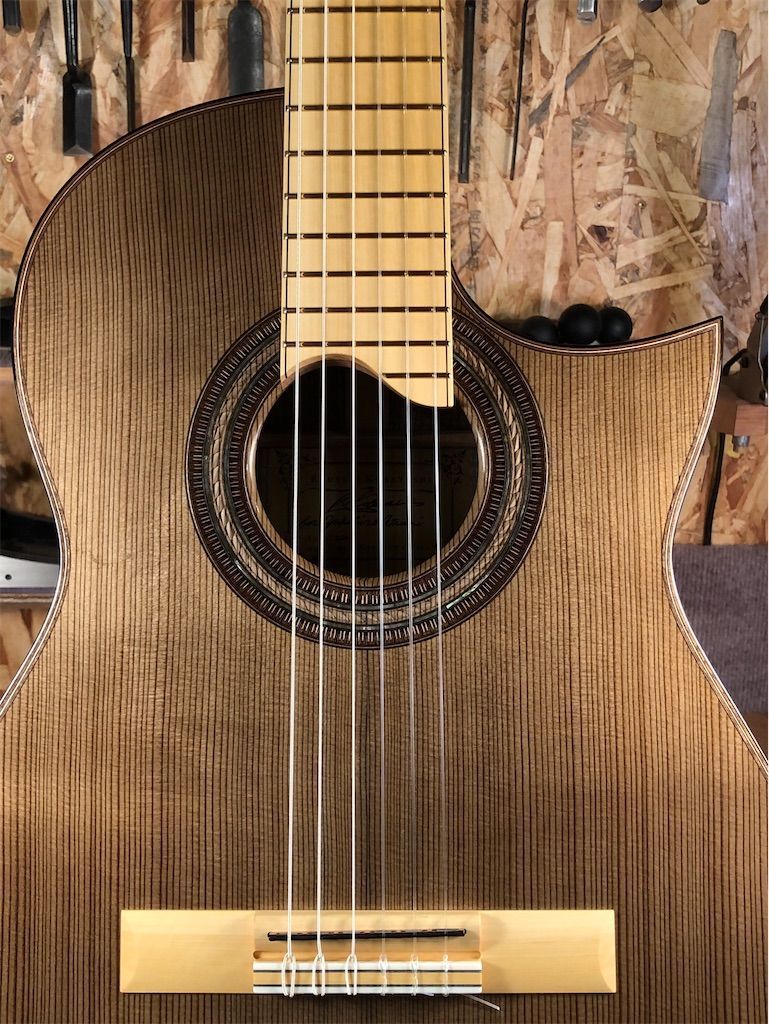 f:id:RyosukeKobayashiGuitars:20211215235916j:image