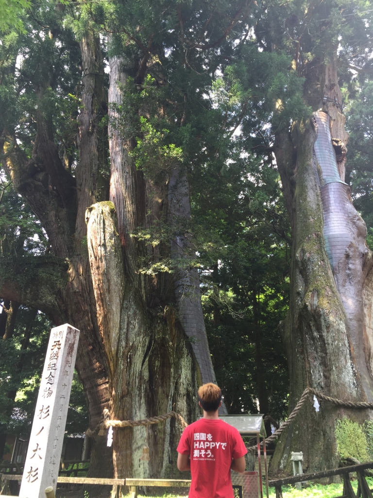 f:id:RyotA:20160804114125j:plain f:id:RyotA:20160804114125j:plain