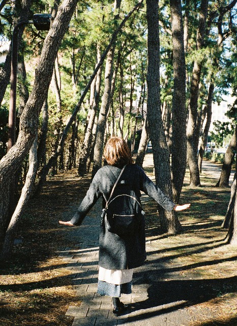 f:id:Ryouchang:20191230203821j:image f:id:Ryouchang:20191230203821j:image