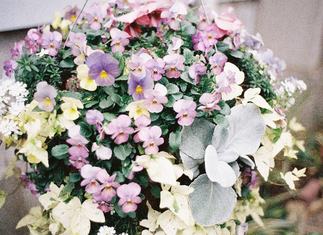f:id:Ryouchang:20191231181910j:image f:id:Ryouchang:20191231181910j:image