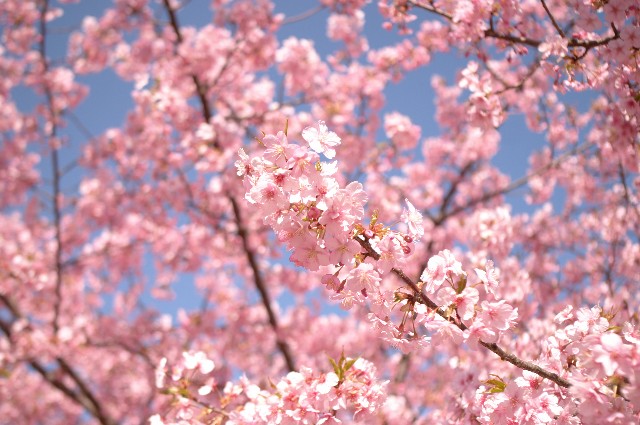f:id:Ryouchang:20200311003939j:image f:id:Ryouchang:20200311003939j:image