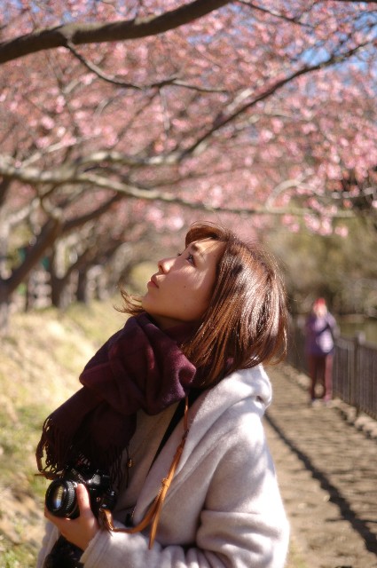 f:id:Ryouchang:20200311082758j:image f:id:Ryouchang:20200311082758j:image