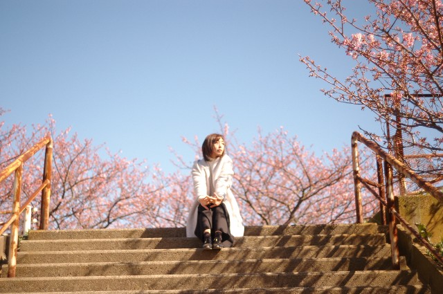 f:id:Ryouchang:20200311083353j:image f:id:Ryouchang:20200311083353j:image