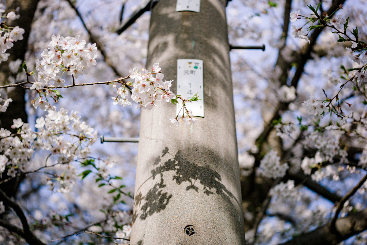 f:id:Ryouchang:20210815142605j:plain