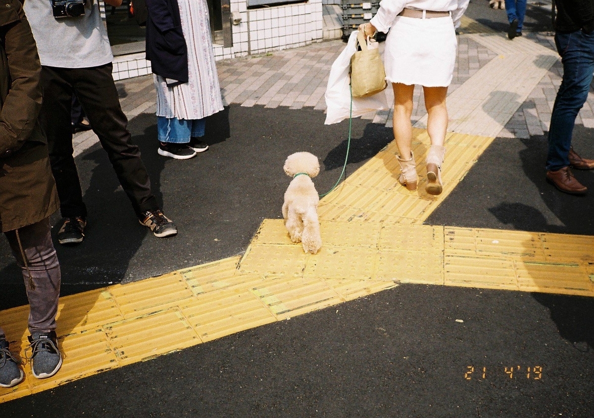f:id:Ryouchang:20210818003201j:plain