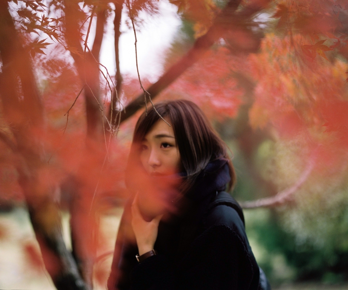 f:id:Ryouchang:20210822225400j:plain