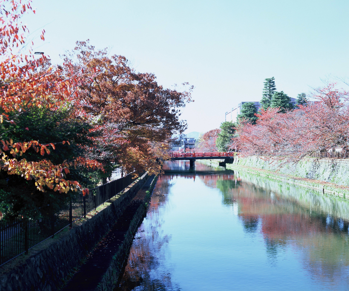 f:id:Ryouchang:20210822230433j:plain