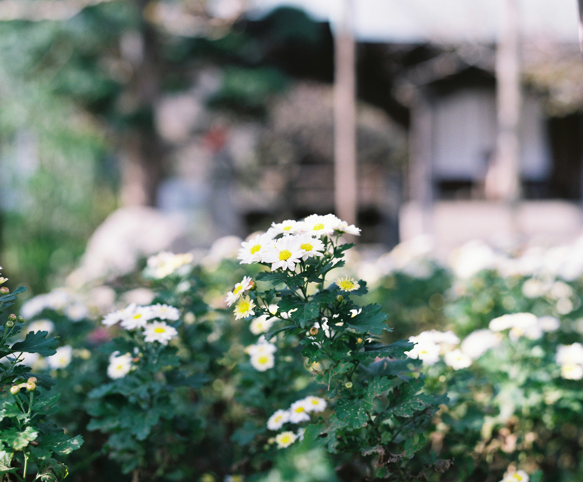 f:id:Ryouchang:20210822230825j:plain