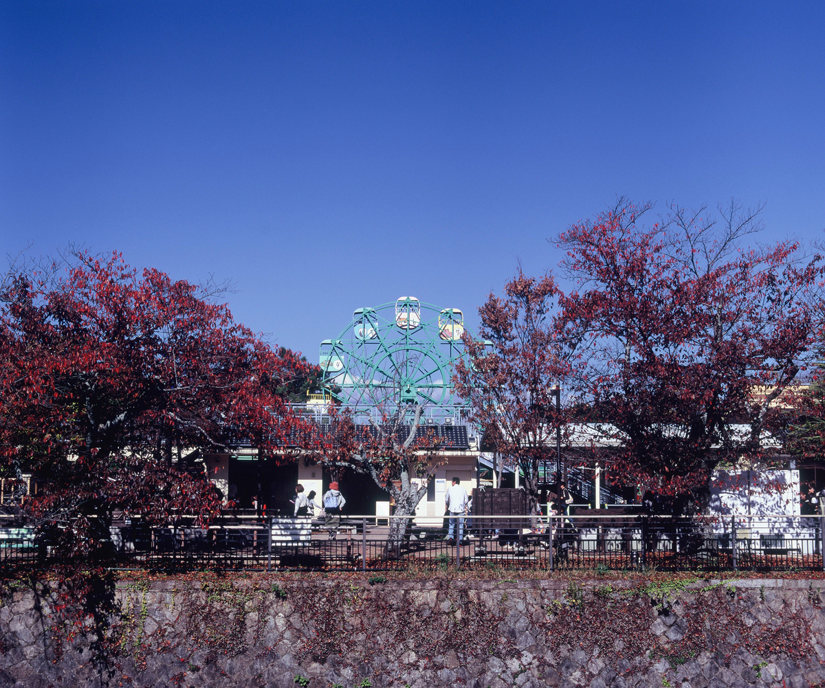 f:id:Ryouchang:20210822231054j:plain