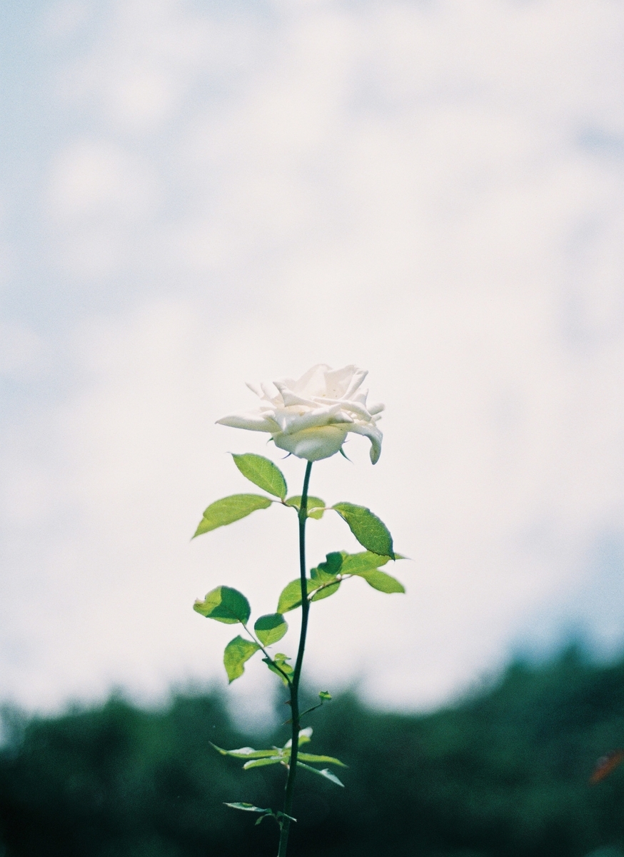 f:id:Ryouchang:20210828145805j:plain