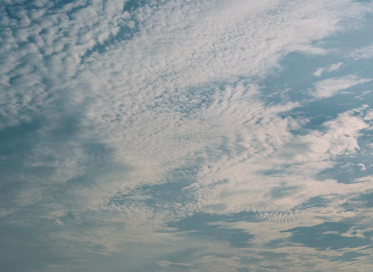 f:id:Ryouchang:20210828150637j:plain