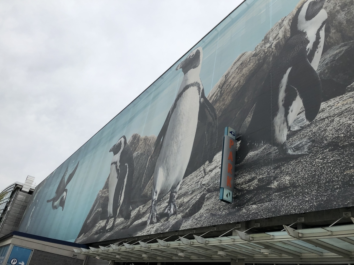 ジョージア水族館 Georgia Aquarium 俺のめし ジョージア水族館 Georgia Aquarium 俺のめし