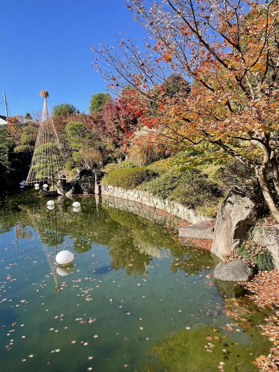 目白紅葉 | 目白庭園 公式ホームページ – ZCDC