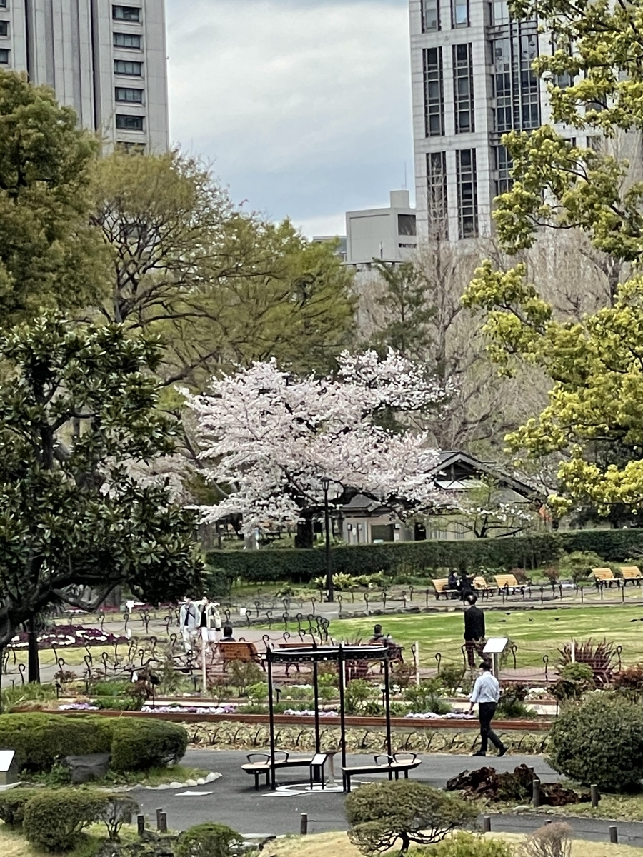 お花見 日比谷公園 21年3月22日 俺のめし お花見 日比谷公園 21年3月22日 俺のめし