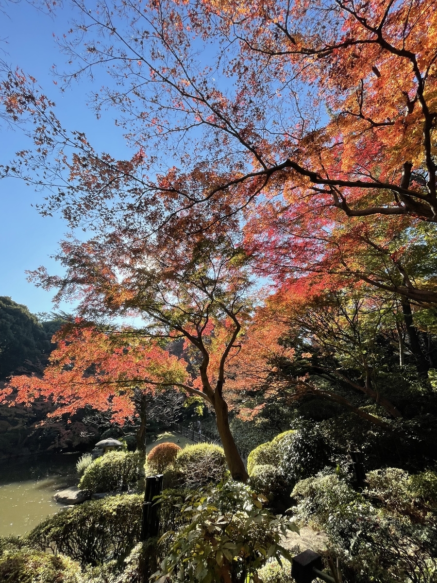 東京都庭園美術館 紅葉 21年12月3日 俺のめし
