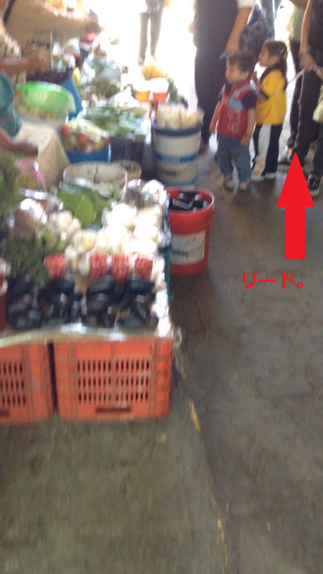 f:id:Ryumuscle:20210114124552j:plain