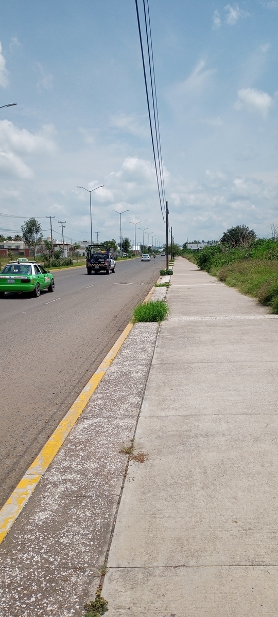 f:id:Ryumuscle:20210805105346j:plain