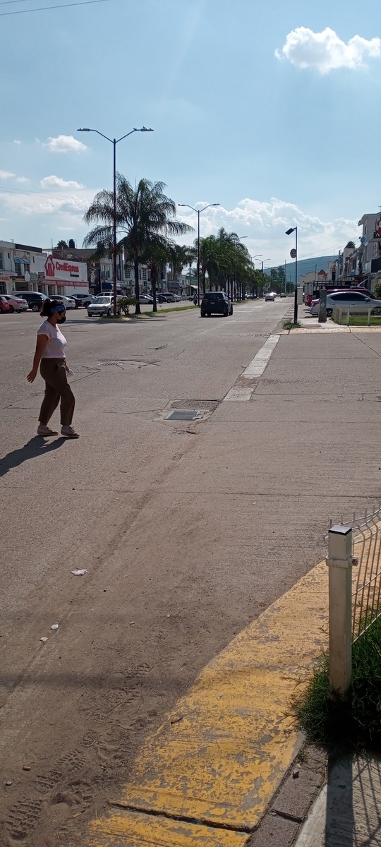 f:id:Ryumuscle:20210818084034j:plain