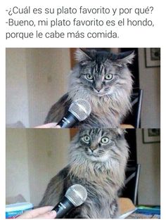 f:id:Ryumuscle:20220325101359j:plain