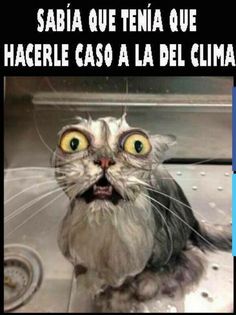 f:id:Ryumuscle:20220325101414j:plain