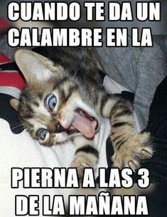 f:id:Ryumuscle:20220325132206j:plain