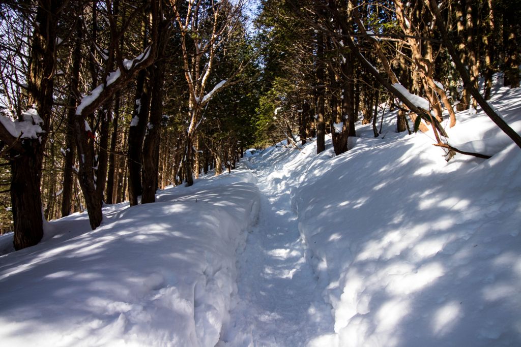 f:id:S-D-K10:20170313210518j:plain f:id:S-D-K10:20170313210518j:plain