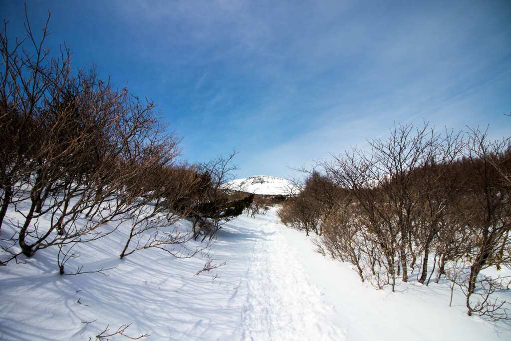 f:id:S-D-K10:20170313210901j:plain