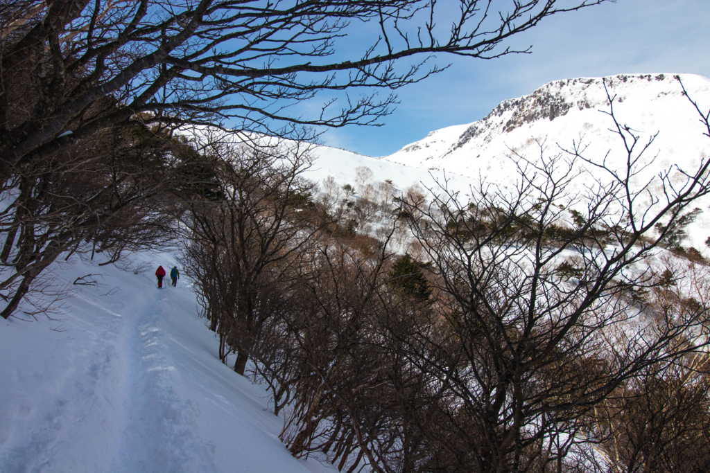 f:id:S-D-K10:20170313211211j:plain f:id:S-D-K10:20170313211211j:plain