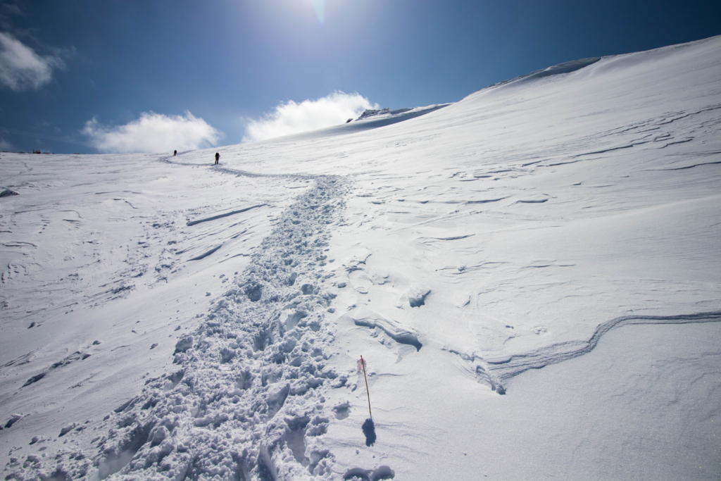 f:id:S-D-K10:20170313213218j:plain f:id:S-D-K10:20170313213218j:plain